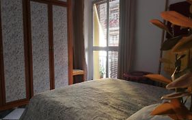 H&H Habita House